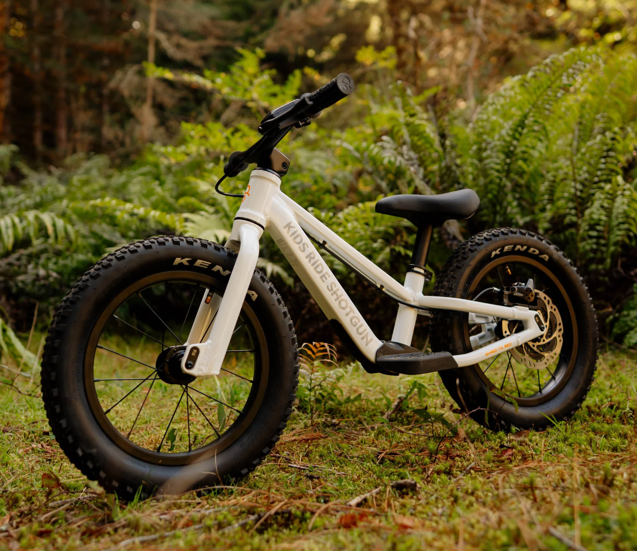 Kids Ride Shotgun Dirt Hero Balance Bike 14"